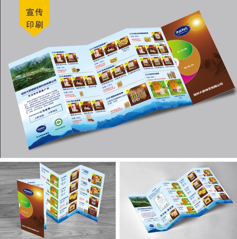 折页宣传单设计展示