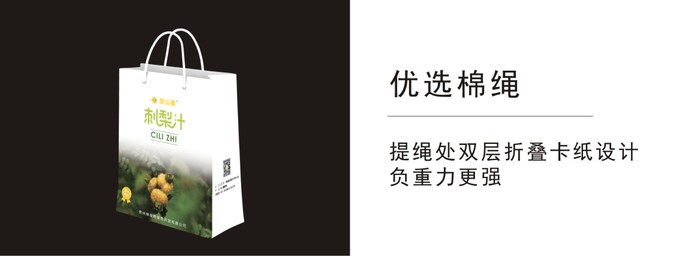 手提袋创意设计效果展示