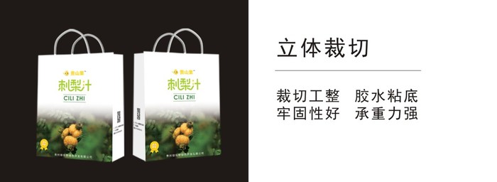 手提袋的设计展示