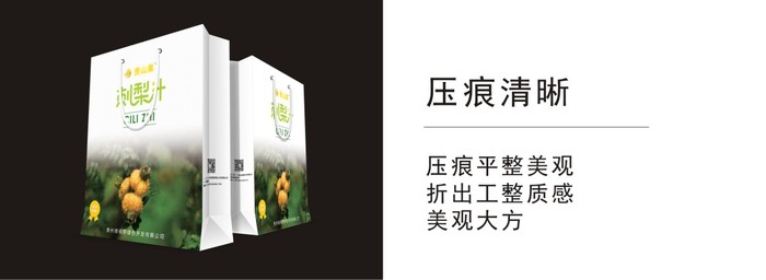 公司手提袋设计特点展示