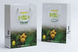 手提袋设计