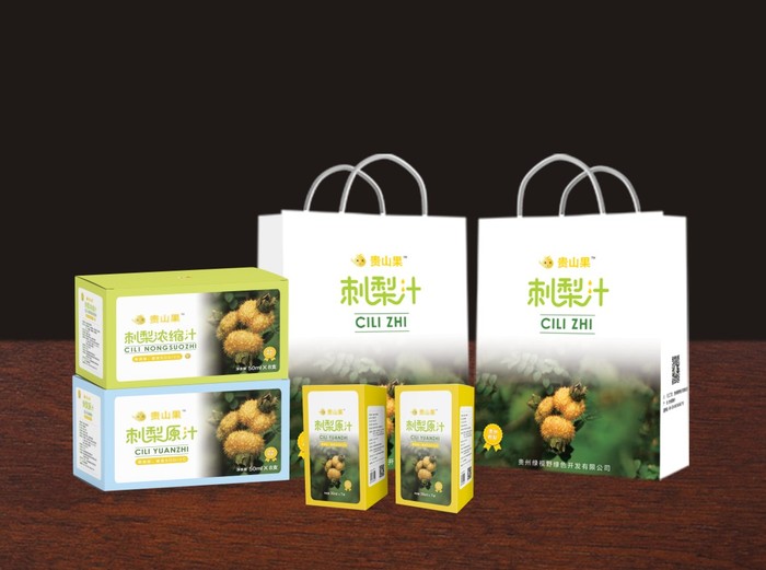 手提袋创意设计效果